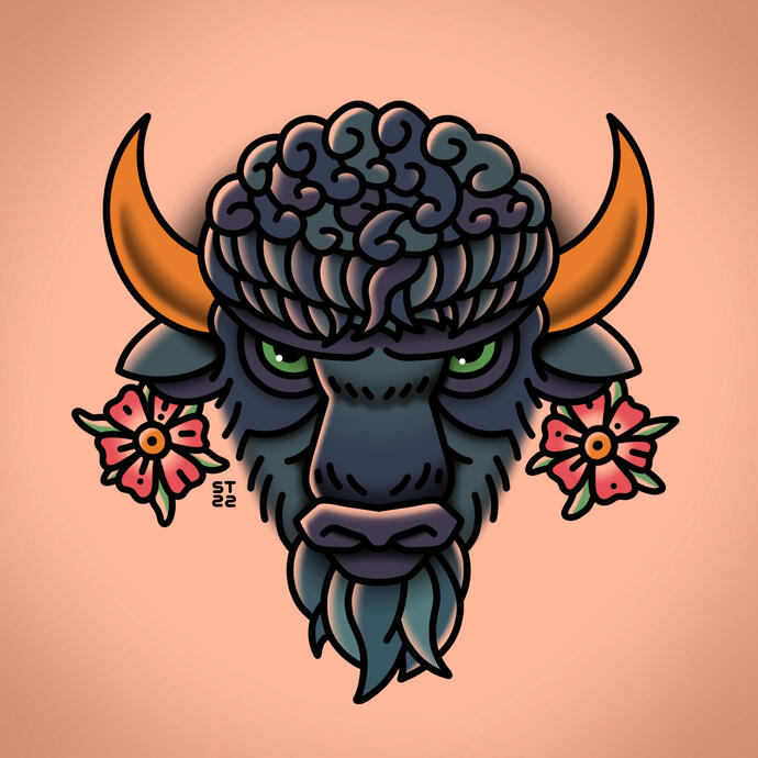 bison v2