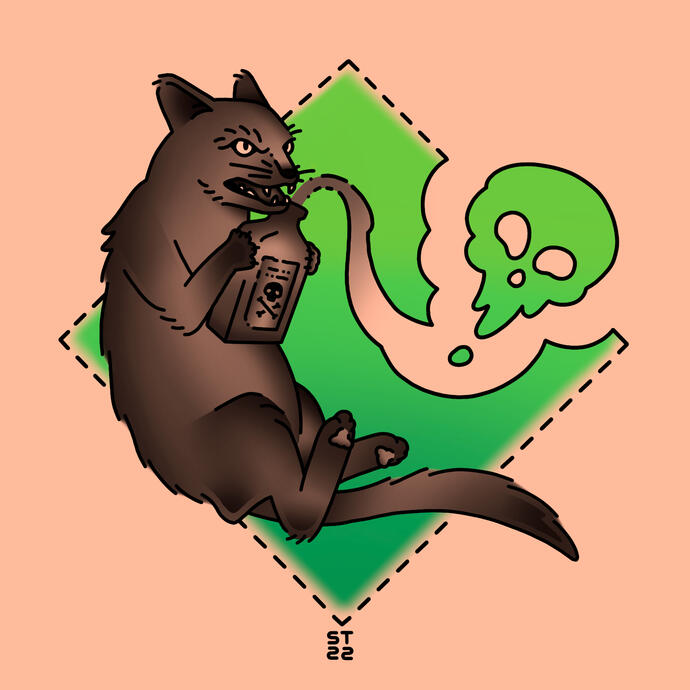 schrödinger's cat